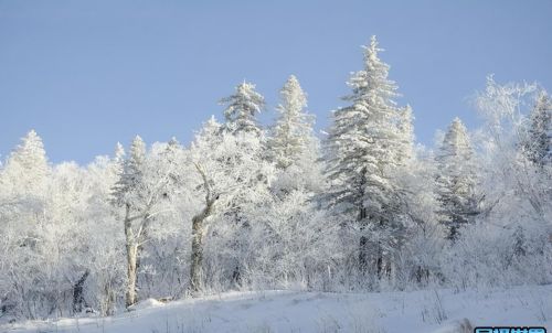 长白山长年积雪(长白山终年积雪)