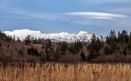 千年积雪万年松 直上人间第一峰 神山圣水奇林仙果 长白山欢迎您