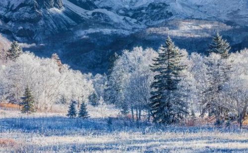 千年积雪万年松 直上人间第一峰 神山圣水奇林仙果 长白山欢迎您