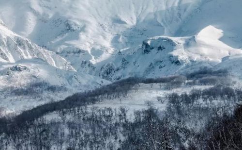 千年积雪万年松 直上人间第一峰 神山圣水奇林仙果 长白山欢迎您