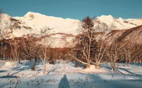 千年积雪万年松 直上人间第一峰 神山圣水奇林仙果 长白山欢迎您