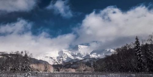 千年积雪万年松 直上人间第一峰 神山圣水奇林仙果 长白山欢迎您