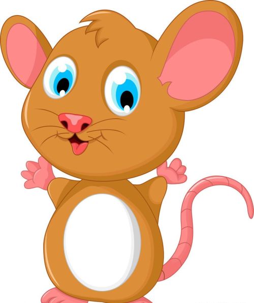 心理学中有名的迷宫老鼠实验有哪些(心理学中有名的迷宫老鼠实验是什么)