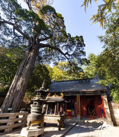 道教名山 崂山(崂山道教文化精髓)