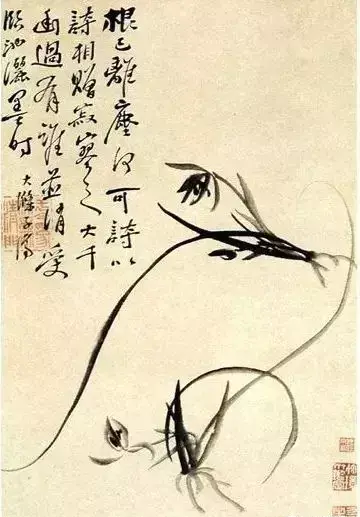 四大名家画兰花图片(四大名家画兰花作品)