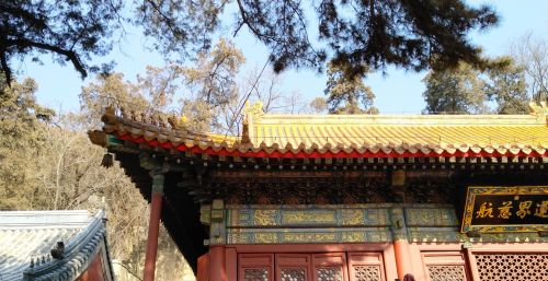 中国古建筑中的垂脊兽有哪些(中国古建筑中的垂脊兽是什么)