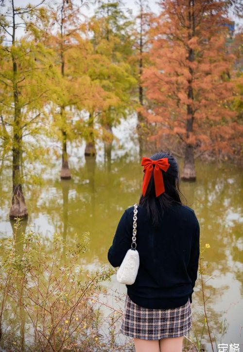 深圳秋冬值得去的地方推荐(深圳有秋冬吗)