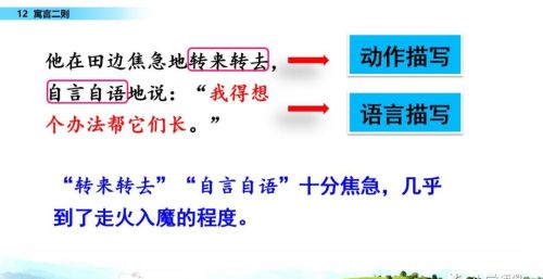 二年级下册语文寓言二则课文讲解(小学语文二年级下册寓言二则)