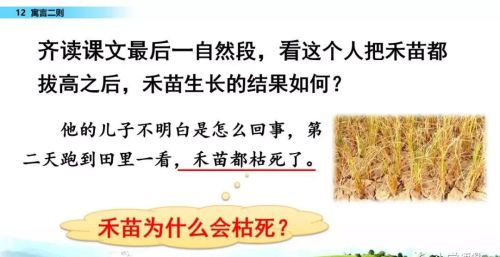 二年级下册语文寓言二则课文讲解(小学语文二年级下册寓言二则)