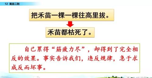 二年级下册语文寓言二则课文讲解(小学语文二年级下册寓言二则)