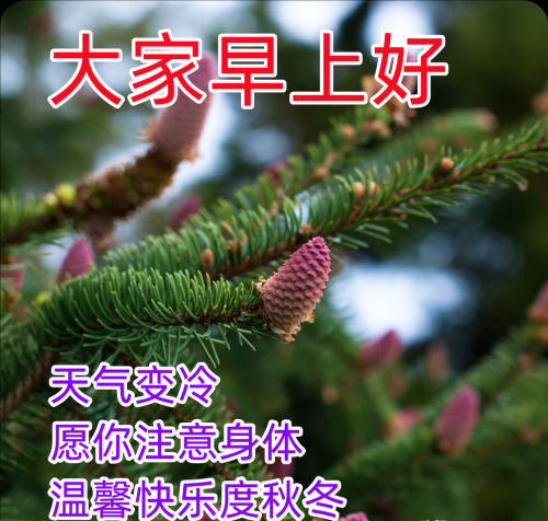 2020年12月11号早晨问候语(2020年12月11日早上好图片)