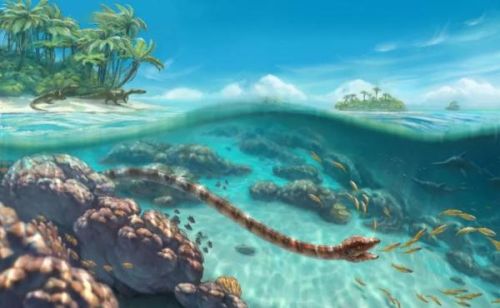 2亿年前隐秘细颈龙，被发现了！