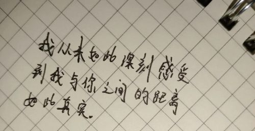 我也中意你什么意思(我也钟意你粤语歌)