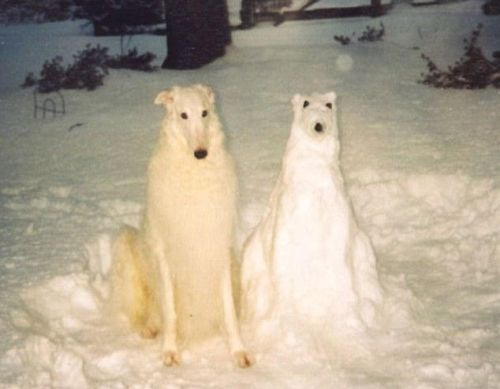 圣诞节 各种奇思妙想的雪人