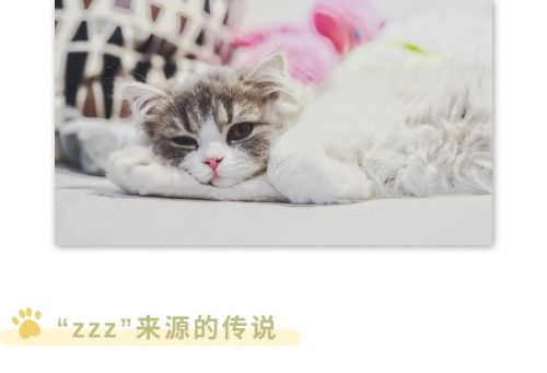 为什么睡觉用zzz表示(为什么睡觉要用zzz表示)