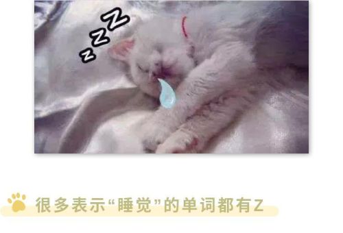 为什么睡觉用zzz表示(为什么睡觉要用zzz表示)