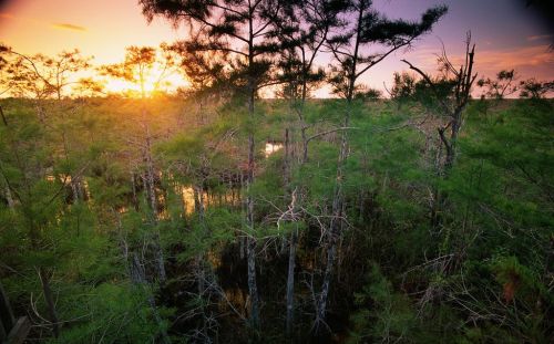 风景图集：大沼泽地国家公园
