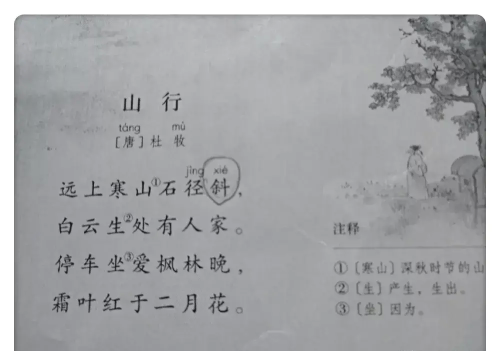 小学古诗易错读音(小学古诗易错字)