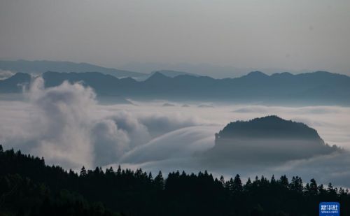 重庆金佛山：云绕山峦春色美