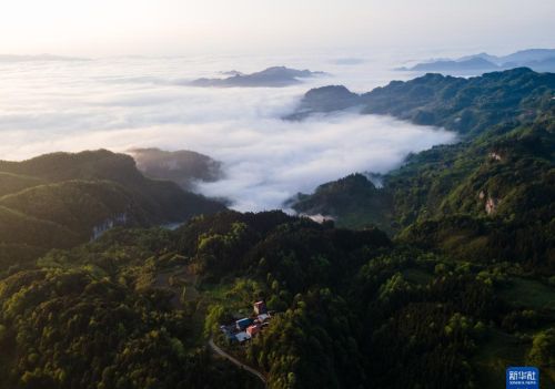 重庆金佛山：云绕山峦春色美