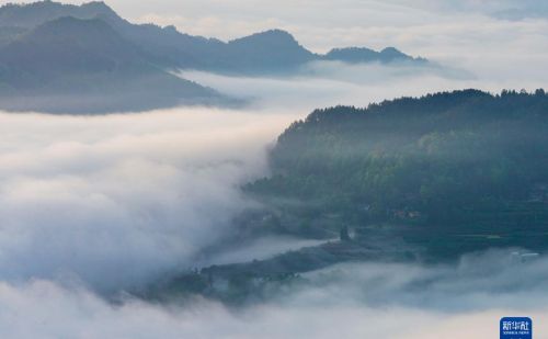 重庆金佛山：云绕山峦春色美