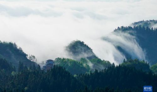 重庆金佛山：云绕山峦春色美