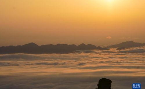 重庆金佛山：云绕山峦春色美