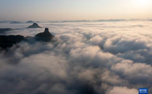 重庆金佛山：云绕山峦春色美