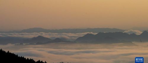 重庆金佛山：云绕山峦春色美