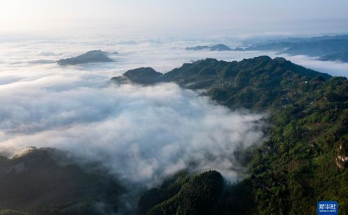 重庆金佛山：云绕山峦春色美