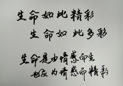 给自己一个努力的理由作文600字(给自己一个努力的理由说说)