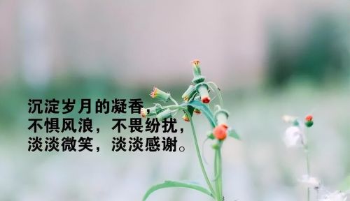 漫不经心,内心装着的成语(漫不经心,内心装着一个人)