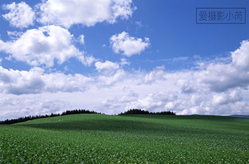 这样的风景美爆了！蓝天白云，青青绿草景色怡人