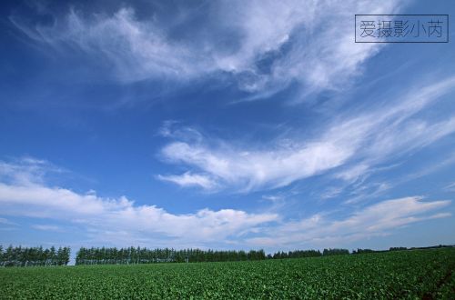 这样的风景美爆了！蓝天白云，青青绿草景色怡人