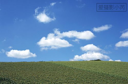 这样的风景美爆了！蓝天白云，青青绿草景色怡人