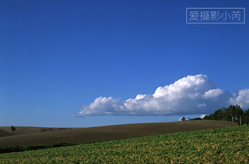 这样的风景美爆了！蓝天白云，青青绿草景色怡人