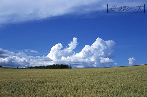 这样的风景美爆了！蓝天白云，青青绿草景色怡人