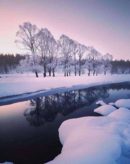 关于凌寒傲雪的诗句(傲雪凌霜咏松的诗句)