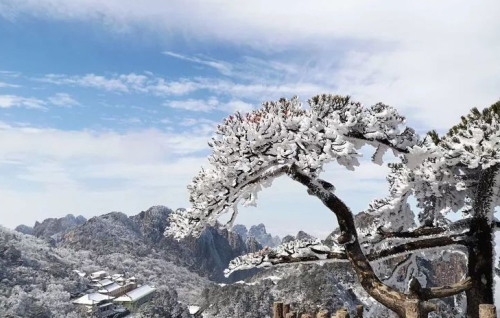 关于凌寒傲雪的诗句(傲雪凌霜咏松的诗句)