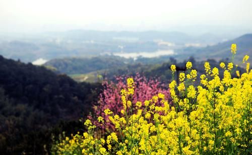 山西美丽的自然景观(原创 山西还有这么壮美的山脉景色,一起来看看吧)