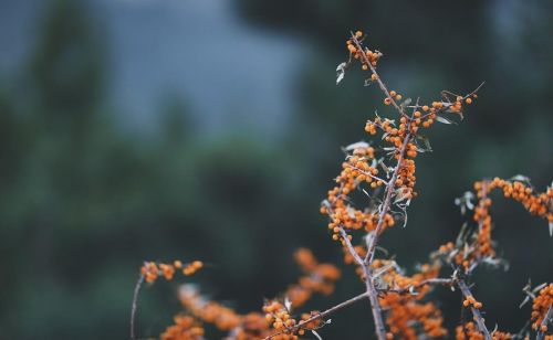 山西美丽的自然景观(原创 山西还有这么壮美的山脉景色,一起来看看吧)