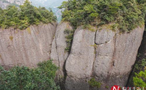 浙江网红桥的景点介绍下(浙江风景桥)