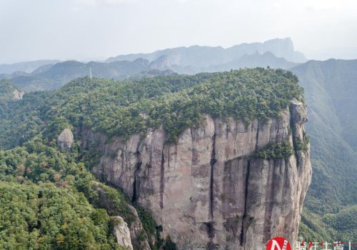 浙江网红桥的景点介绍下(浙江风景桥)