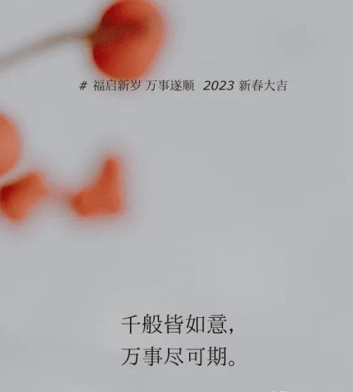 2023 除夕 跨年文案 图片看这篇就够了怎么写(除夕跨年文案和图片)