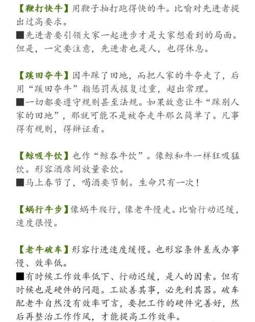 积累和牛有关的四字词语或成语(积累有关牛的成语)