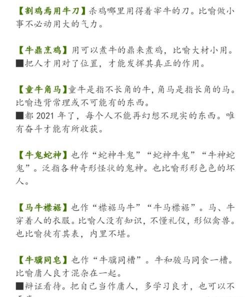 积累和牛有关的四字词语或成语(积累有关牛的成语)