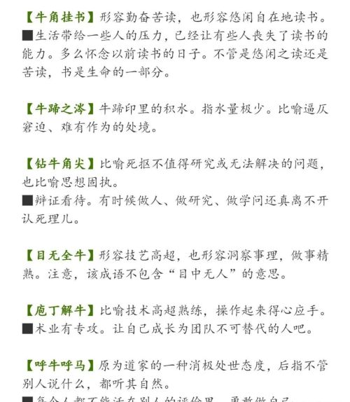 积累和牛有关的四字词语或成语(积累有关牛的成语)