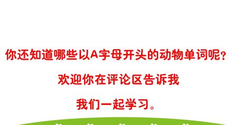 以字母a开头的动物单词你知道哪些(以字母a开头的动物单词你知道哪些英语)