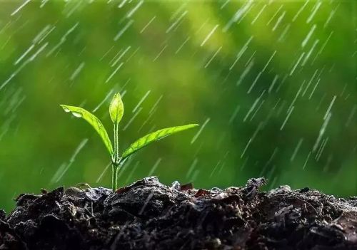 春寒多有雨,夏寒断水流的意思(春寒多雨水是什么意思)