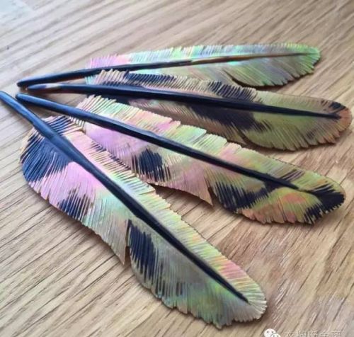 不是你想的鸟毛！这是巴厘岛纯手工雕刻的羽毛饰品！